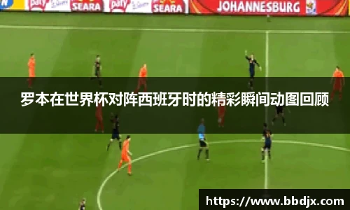 罗本在世界杯对阵西班牙时的精彩瞬间动图回顾