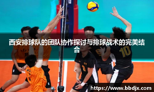 西安排球队的团队协作探讨与排球战术的完美结合